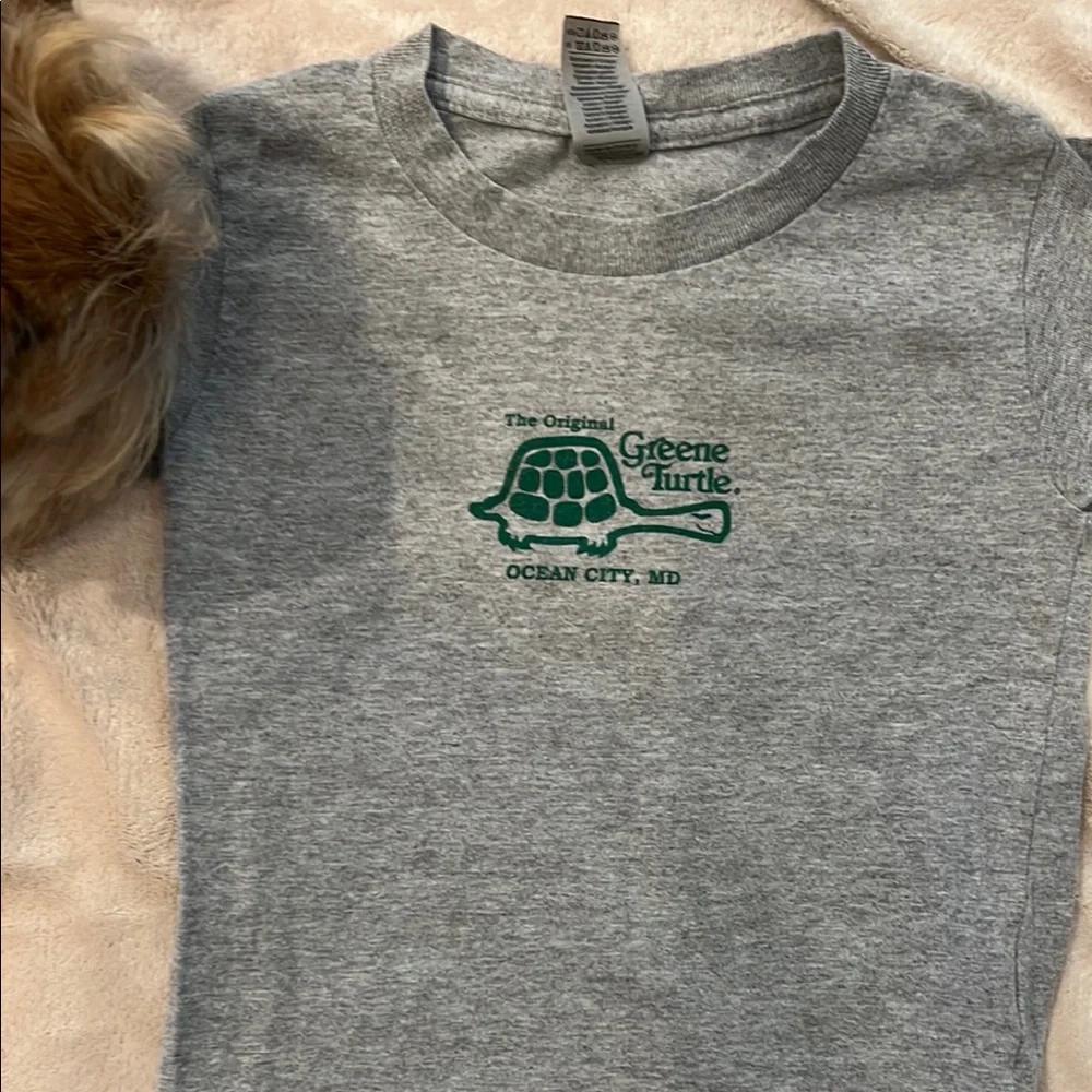 The Original Greene Turtle Gray T-Shirt - Picture 1 of 2